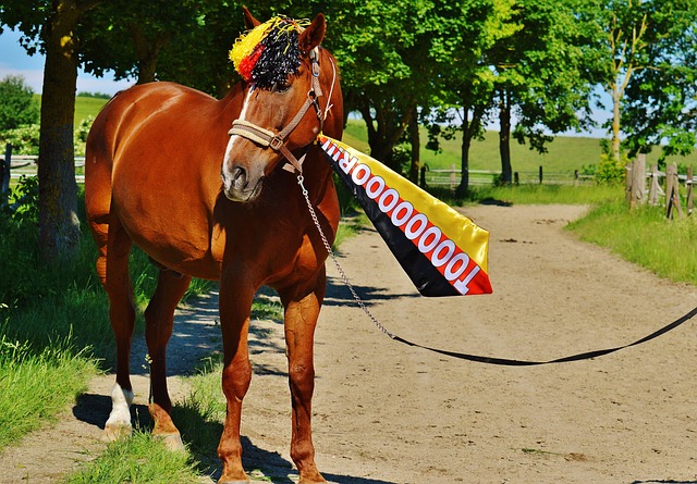 大的压迫力 大的压迫力