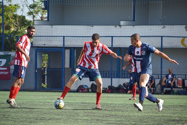 卓越的自然 卓越的自然