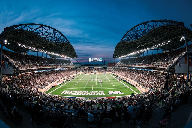 無論是內馬 無論是內馬