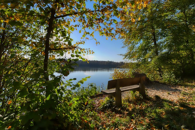 延續強者姿 延續強者姿