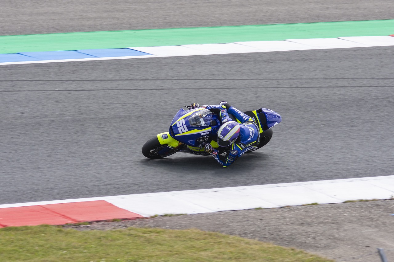 了优化球队 了优化球队