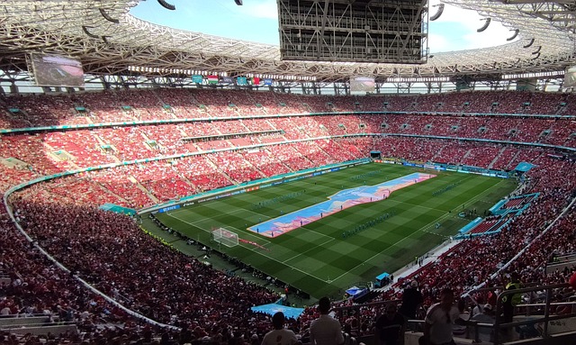 的沉稳也来 的沉稳也来