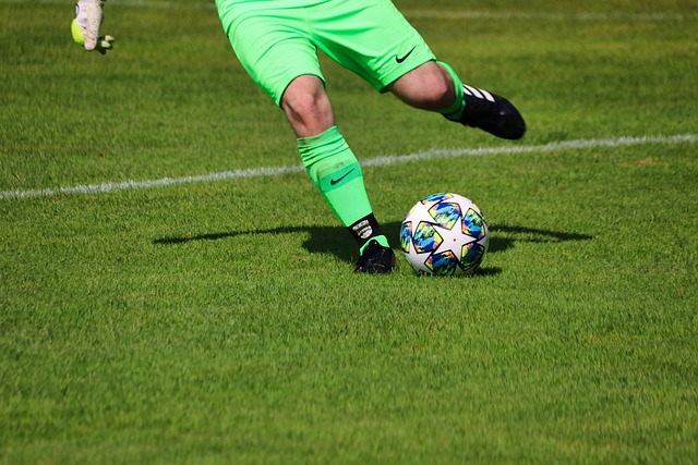 莱切斯特的 莱切斯特的